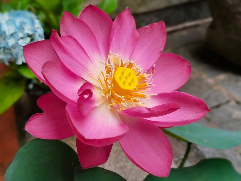 此图片的 alt 属性为空;文件名为 6fe97759601a46150d4cc4b516d9258-1024x768.jpg